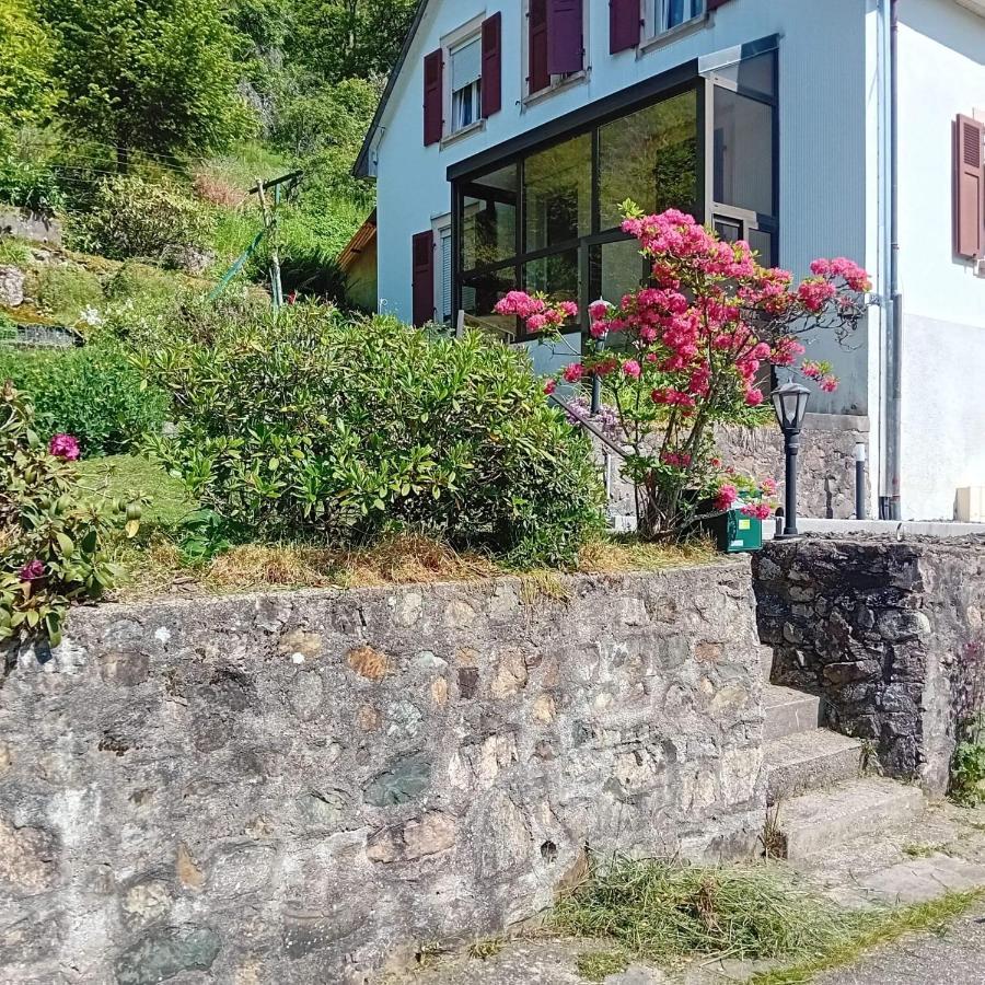 Gite Monts Et Merveilles Mollau Esterno foto