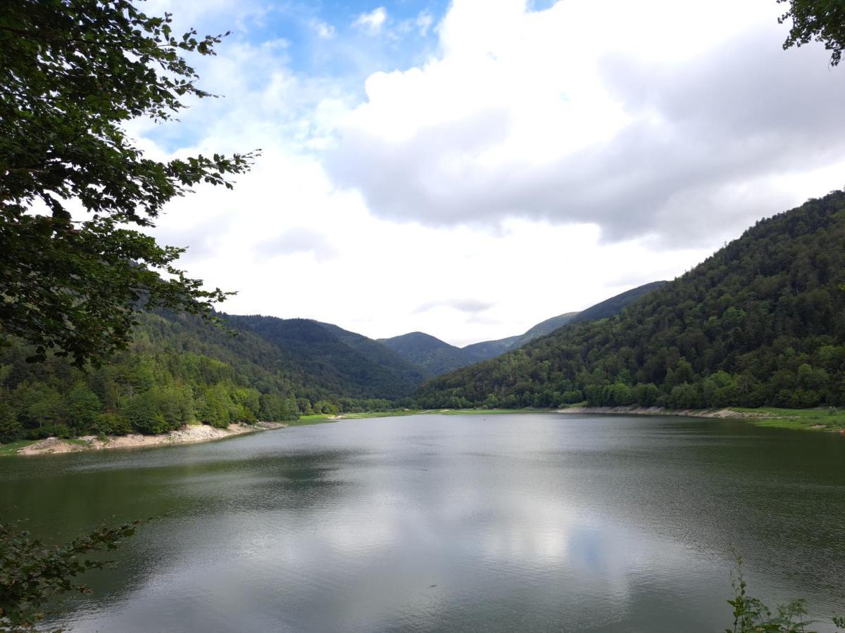 Gite Monts Et Merveilles Mollau Esterno foto