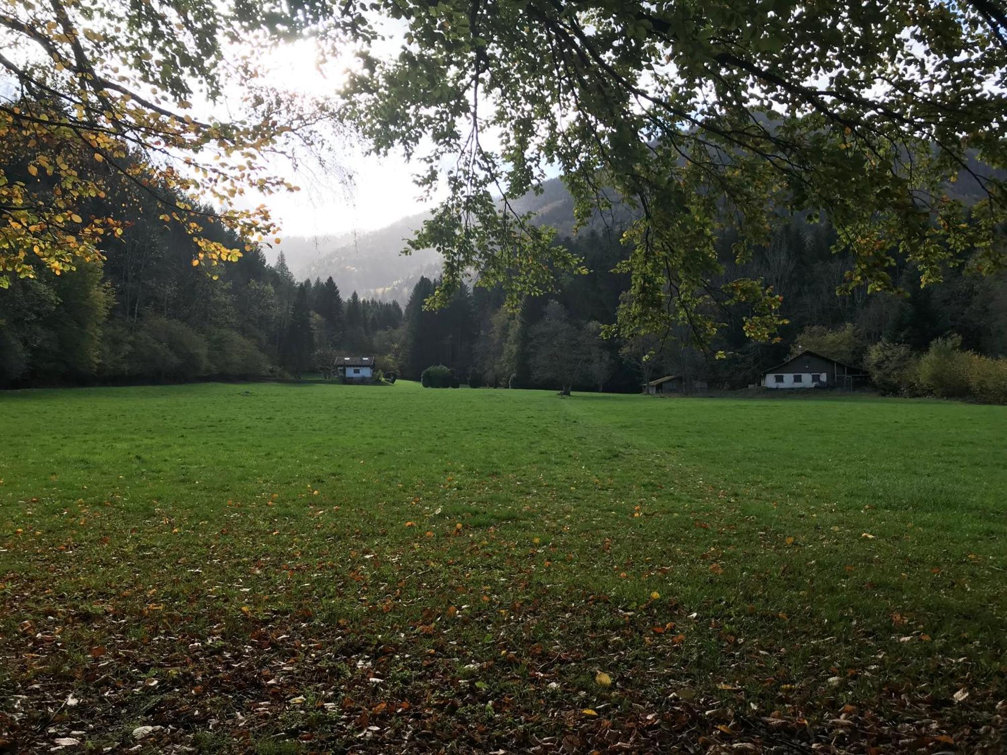 Gite Monts Et Merveilles Mollau Esterno foto