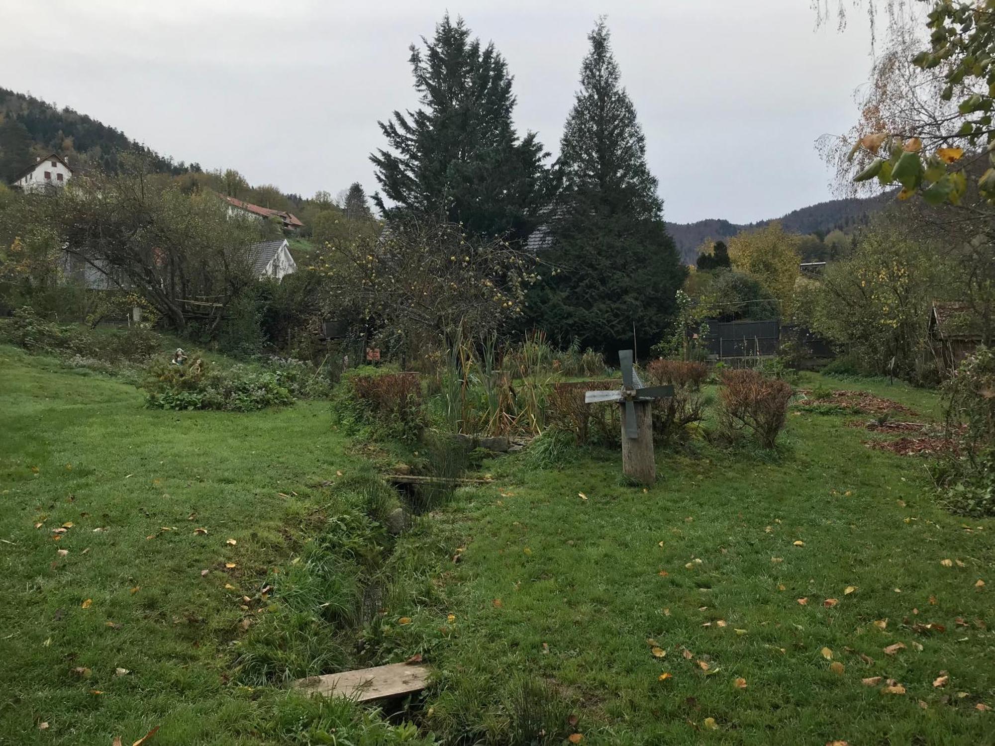 Gite Monts Et Merveilles Mollau Esterno foto