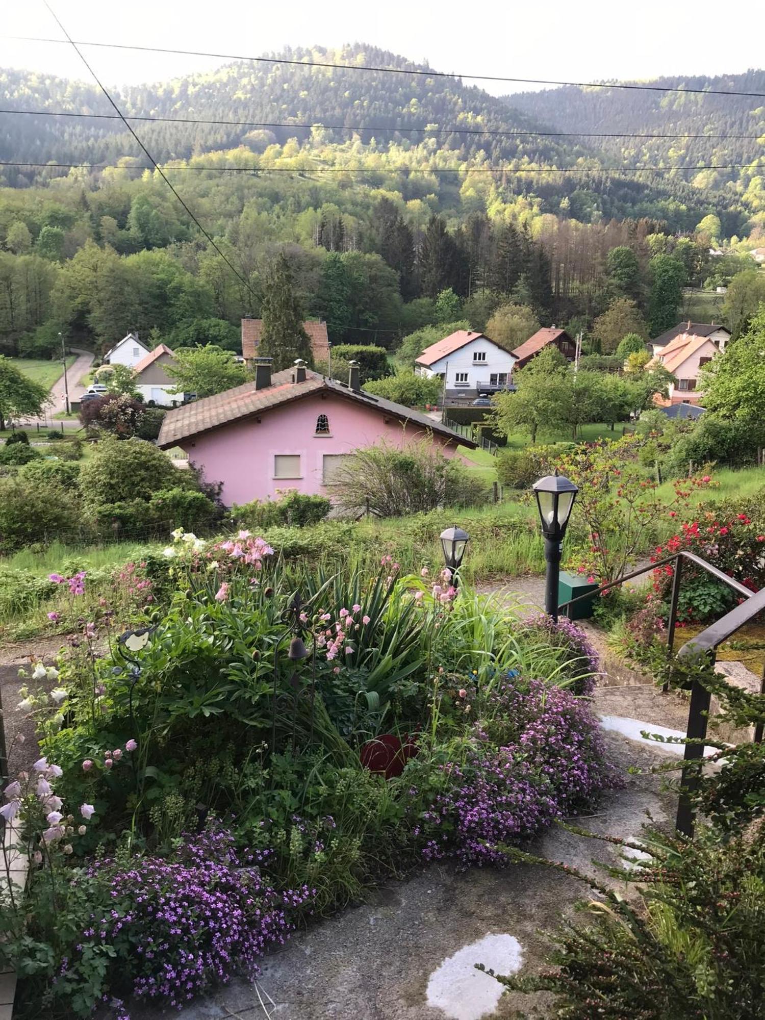 Gite Monts Et Merveilles Mollau Esterno foto